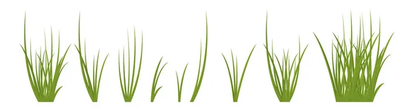 Cartoon Grass Leaves Collection Vector Illustration Isolated White — Stock Vector