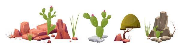 Desert Rock Plants Different Colors Vector Illustration Isolated White — Vetor de Stock
