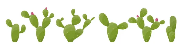 Cartoon Desert Cactus Plants Isolated White Desert Plants Vector Illustration Royaltyfria Stockvektorer