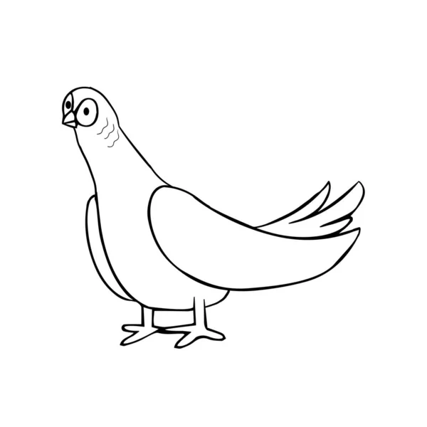 Isolato Uccello Nero Disegnare Linea Ombra Vettoriale Illustrazione — Vettoriale Stock