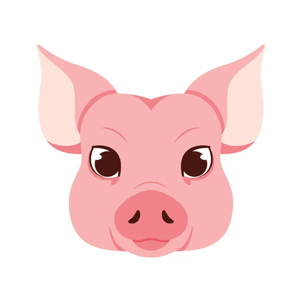 Isolated Porc Avatar Chinez Simbol Zodiac Vector Ilustrare — Vector de stoc