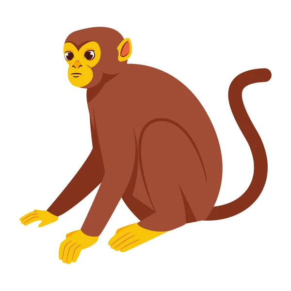 孤立的猴子字中国黄道带符号矢量图解 — 图库矢量图片