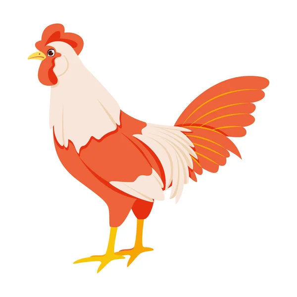 Isolated Rooster Character Chinese Zodiac Symbol Vector Illustration — Stock Vector