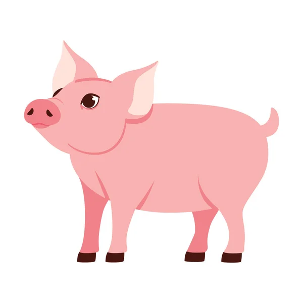 Isolated Pig Character Chinese Zodiac Symbol Vector Illustration — Stock Vector