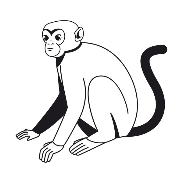 孤立的猴子字中国黄道带符号矢量图解 — 图库矢量图片