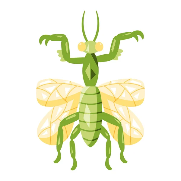 Icono Error Cricket Color Aislado Con Detalles Ilustración Vectorial — Archivo Imágenes Vectoriales