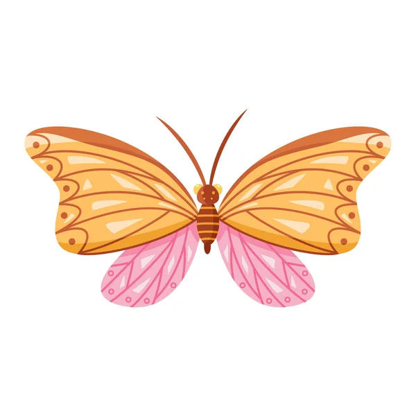 Изолированная Цветная Иконка Бабочки Деталями Векторная Иллюстрация — стоковый вектор