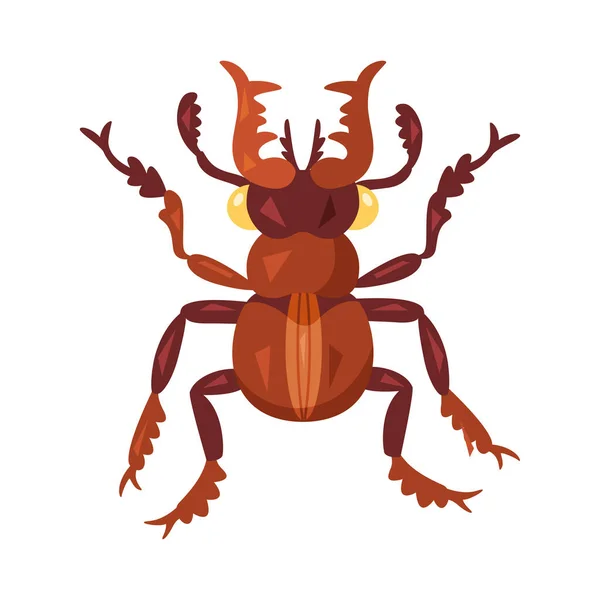 Icono Escarabajo Color Aislado Con Detalles Ilustración Vectorial — Archivo Imágenes Vectoriales