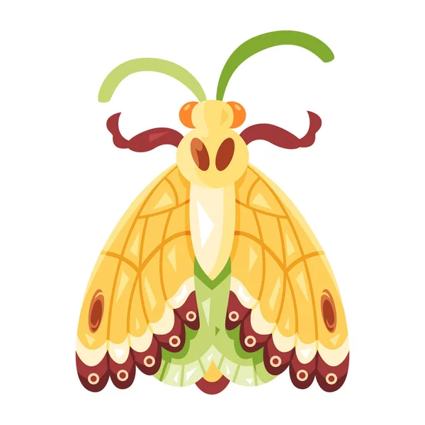 Isolated Colored Moth Icon Details Vector Illustration — Stock Vector