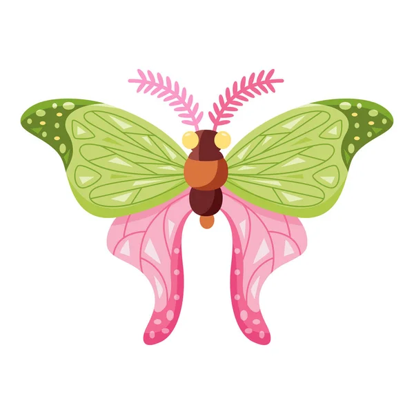 Μεμονωμένο Χρωματιστό Εικονίδιο Πεταλούδας Λεπτομέρειες Διανυσματική Απεικόνιση — Διανυσματικό Αρχείο