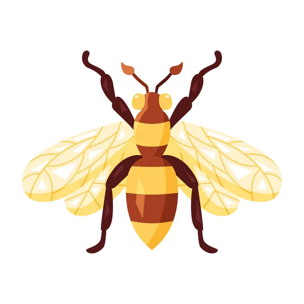 Geïsoleerde Gekleurde Wesp Bug Icoon Met Details Vector Illustratie — Stockvector
