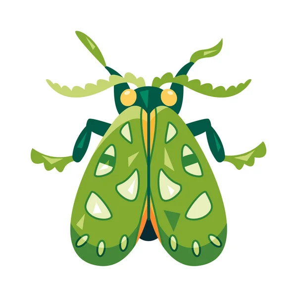 Isolée Icône Bug Mouche Couleur Avec Des Détails Illustration Vectorielle — Image vectorielle