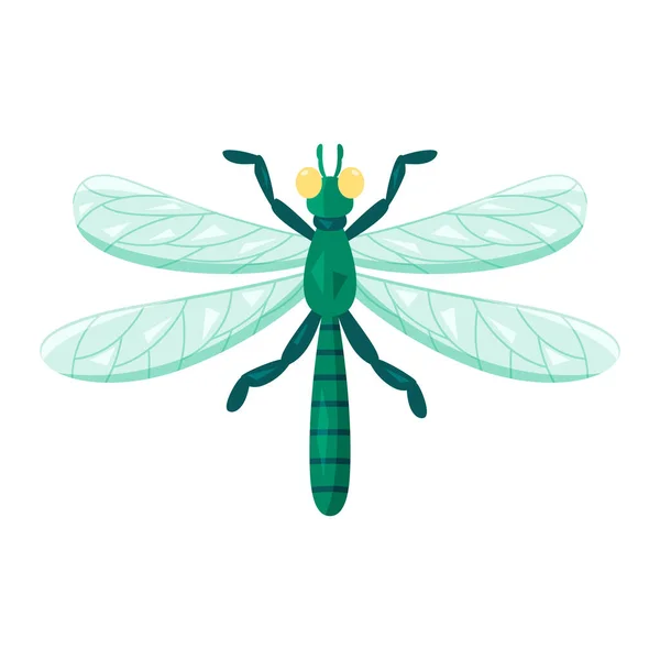 Ícone Bug Libélula Colorido Isolado Com Detalhes Ilustração Vetorial — Vetor de Stock