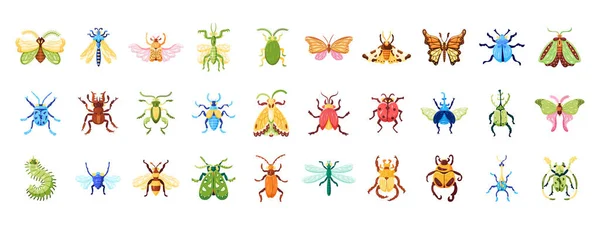 Conjunto Diferentes Ícones Bug Ilustração Vetorial — Vetor de Stock