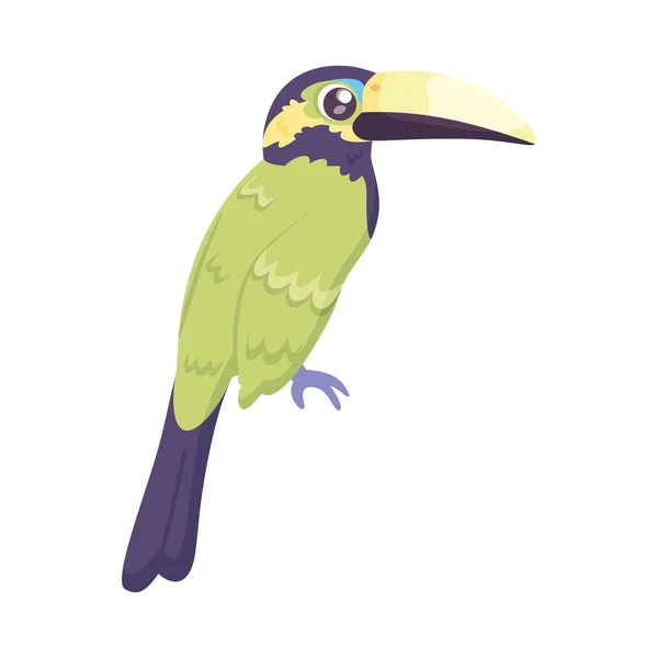 Ізольовані Милий Тукан Птах Значок Векторні Ілюстрації — стоковий вектор