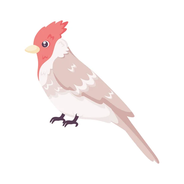 Μεμονωμένη Χαριτωμένο Εικονίδιο Πουλί Woodpecker Διάνυσμα Εικονογράφηση — Διανυσματικό Αρχείο