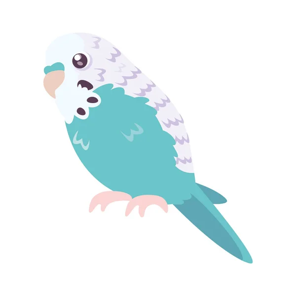 Isolato Carino Parakeet Uccello Icona Vettoriale Illustrazione — Vettoriale Stock