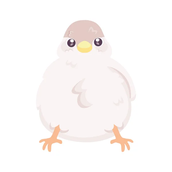Isolado Bonito Pássaro Ícone Animal Vector Ilustração — Vetor de Stock