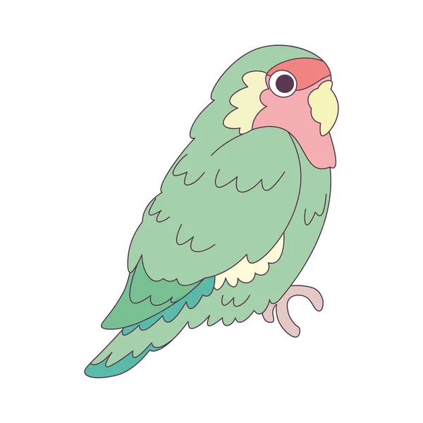 孤立可爱的鹦鹉鸟图标矢量插图 — 图库矢量图片