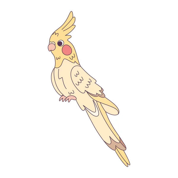 Μεμονωμένη Χαριτωμένο Εικονίδιο Πουλί Cockatoo Διάνυσμα Εικονογράφηση — Διανυσματικό Αρχείο