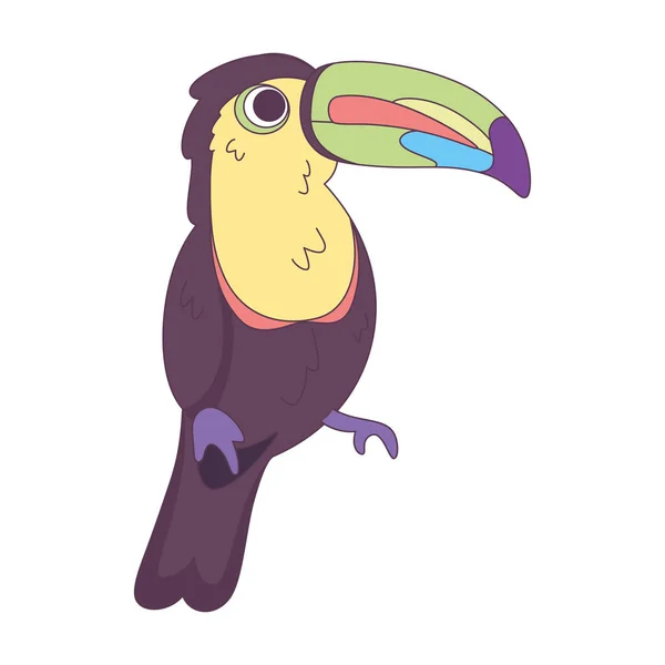 Isolado Bonito Tucano Pássaro Ícone Vector Ilustração — Vetor de Stock