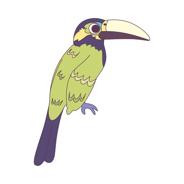Isolé Icône Toucan Oiseau Mignon Illustration Vectorielle — Image vectorielle