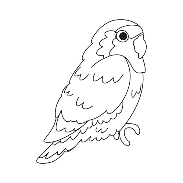 Izolacja Cute Papuga Ptak Ikona Wektor Ilustracja — Wektor stockowy