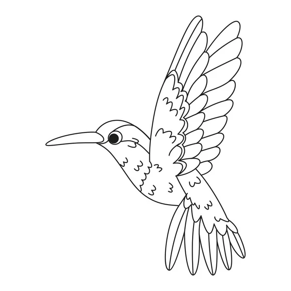 Izolacja Cute Koliber Ptak Ikona Wektor Ilustracja — Wektor stockowy