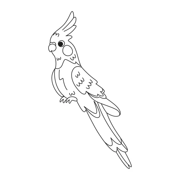 Μεμονωμένη Χαριτωμένο Εικονίδιο Πουλί Cockatoo Διάνυσμα Εικονογράφηση — Διανυσματικό Αρχείο