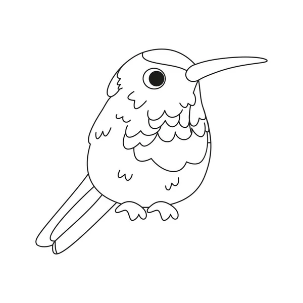 Isolerad Söt Kolibri Fågel Ikon Vektor Illustration — Stock vektor