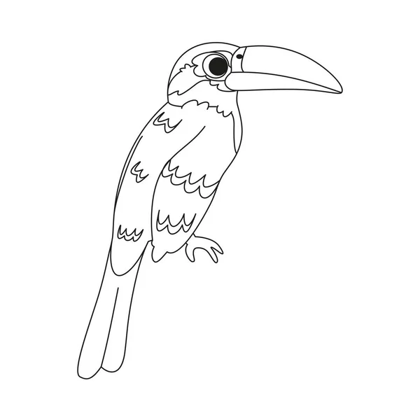 Μεμονωμένη Χαριτωμένο Toucan Εικονίδιο Πουλί Διάνυσμα Εικόνα — Διανυσματικό Αρχείο