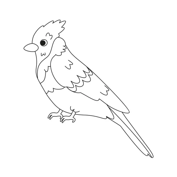 Izolacja Cute Ikona Ptaka Dzięcioł Wektor Ilustracja — Wektor stockowy