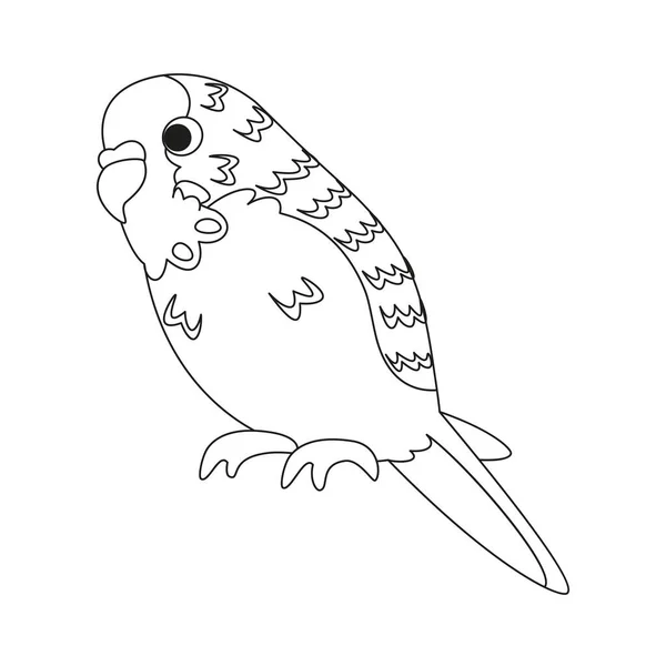 Icono Pájaro Lindo Perico Aislado Ilustración Vectorial — Archivo Imágenes Vectoriales