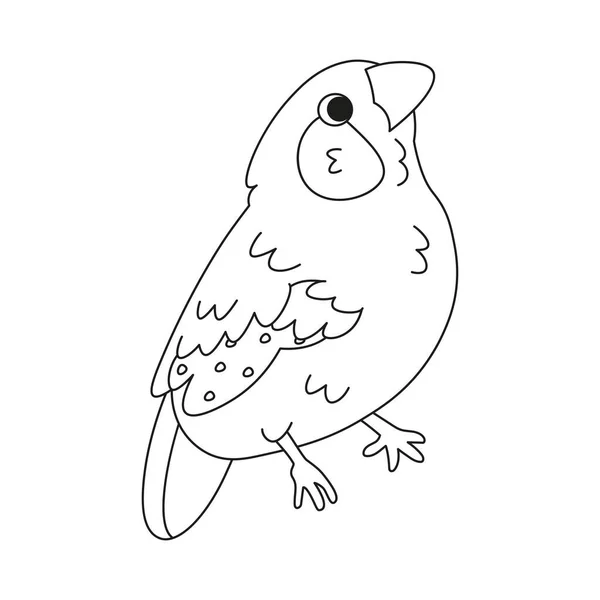 Isolado Bonito Pássaro Ícone Animal Vector Ilustração —  Vetores de Stock