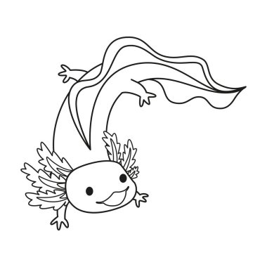 Cartoon Cute Mexican Axolotl llustration Isolated