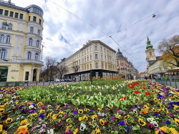 グラーツ オーストリア 2023 バックグラウンドのジャキミンピプラッツ広場と教区教会のカラフルな春の花 グラーツの街で有名なアトラクション ステアマーク地域 オーストリア ストック画像