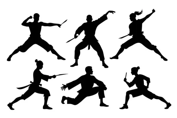 Wushu Silhouette Collection Vector Illustration — Stock Vector