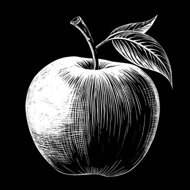 Üzerinde yapraklar olan bir elma, siyah ve beyaz, beyaz arka planda izole edilmiş..