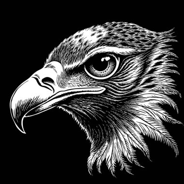 Siyah beyaz bir kartal kafası çizimi.