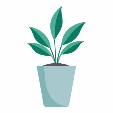 Modern seramik bir saksıda tek ve zarif bir ev bitkisi. Temiz hatları ve küçük detayları var.