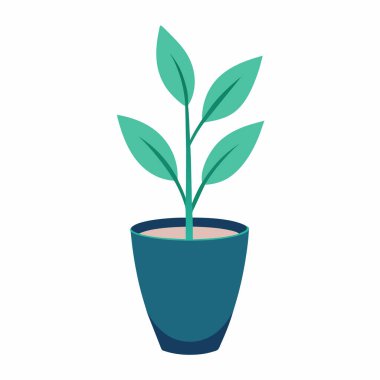 Modern seramik tencerede tek, zarif ev bitkisi, temiz çizgiler ve en az detayla