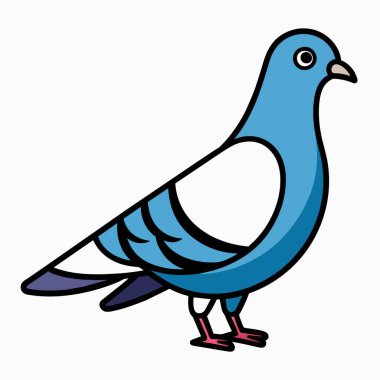 A vector illustration of a pigeon using a doodle style clipart