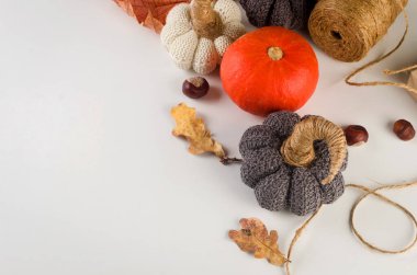 Süslü balkabakları, hediyeler, dökülen yapraklar, kestaneler. Geleneksel sonbahar dekorasyonu. Şükran Günü konseptin kutlu olsun. Karşılama ya da davet kartı boş, 