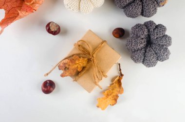 Süslü balkabakları, hediyeler, dökülen yapraklar, kestaneler. Geleneksel sonbahar dekorasyonu. Şükran Günü konseptin kutlu olsun. Karşılama ya da davet kartı boş, 