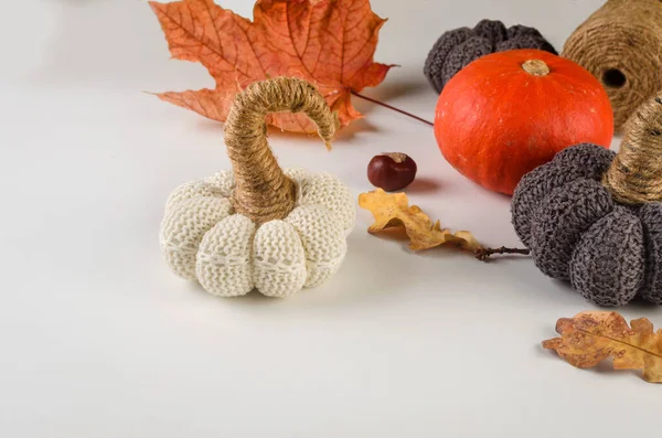 Süslü balkabakları, hediyeler, dökülen yapraklar, kestaneler. Geleneksel sonbahar dekorasyonu. Şükran Günü konseptin kutlu olsun. Karşılama ya da davet kartı boş, 