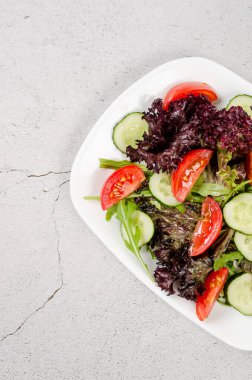 Healthy vegetable salad with fresh salad leaves, arugula, cherry tomato, cucomber and parsley in plate. Summer food concept. Selective focus