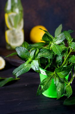 Taze mojito kokteylleri şişeler ve malzemeler, limon ve nane saçakları koyu arka planda beşik, kokteyl yaz içkileri konsepti 