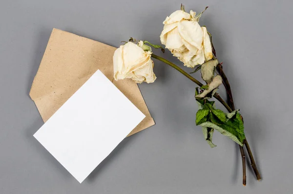 Дві Сушені Білі Троянди Порожньою Білою Порожнечею Поняття Скорботи Скорботи — стокове фото