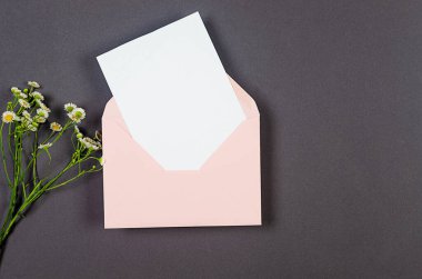 Üzerinde mesaj ve gri arka planda papatyalar için beyaz kart olan pembe bir zarf. Boş davet veya kopyalama alanı olan tebrik kartı modeliName
