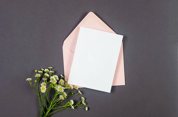 Рожевий Конверт Порожньою Білою Карткою Тексту Букетом Ромашок Сірому Фоні — стокове фото